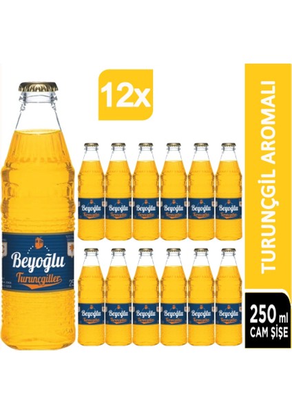 Turunçgil Aromalı 12X250 ml