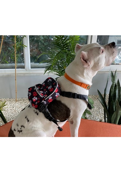 Pawloo Köpek Tasması Köpek Sırtçantası Kırmızı Göğüs Tasması
