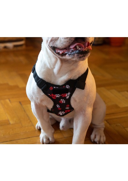 Pawloo Köpek Tasması Köpek Sırtçantası Kırmızı Göğüs Tasması modelleri