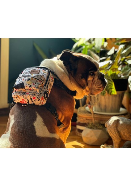 köpek Tasması Turuncu Göğüs Tasması Köpek Sırt Çantası