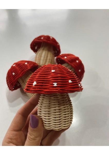 Rattan Bambu Uğurlu Mantarlar