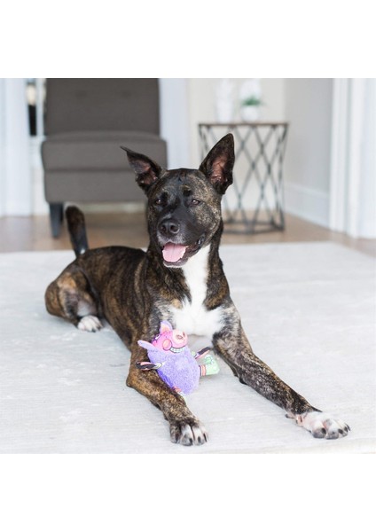 Gruntleys Sesli Peluş Köpek Oyuncağı
