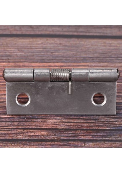 4x 2 Inç Uzun Paslanmaz Çelik Kendiliğinden Kapanan Köşe Yaylı Çekme Kapı Menteşesi (Yurt Dışından) fırsatları