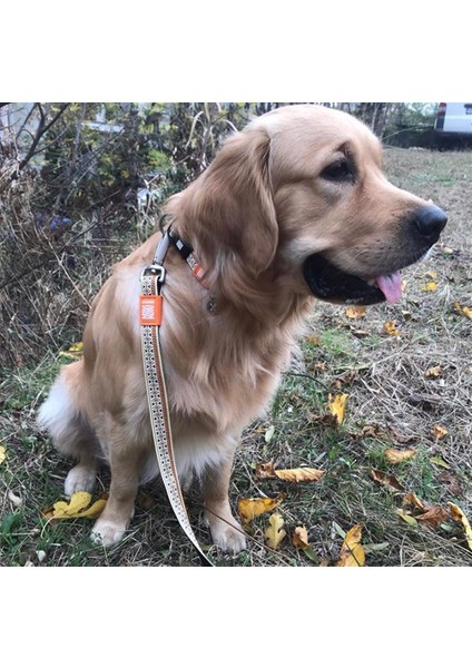 Ethnic Köpek Gezdirme Kayışı fırsatları