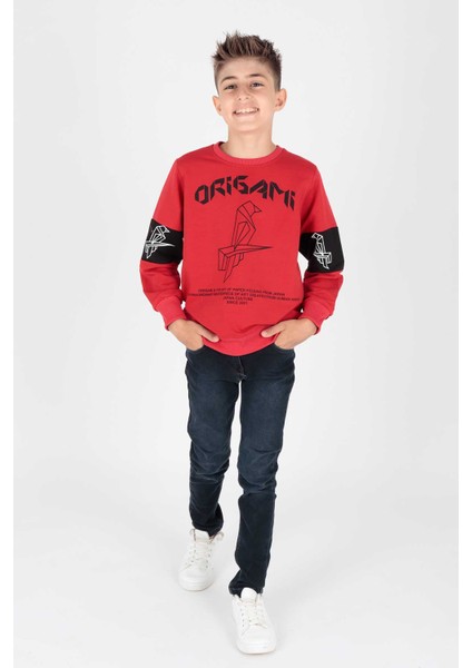 Erkek Çocuk Origami Baskılı Trend Sweatshirt AK15160 indirimleri