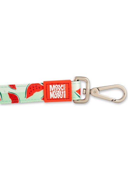 Watermelon Köpek Gezdirme Kayışı