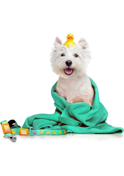 Ducklings Köpek Gezdirme Kayışı