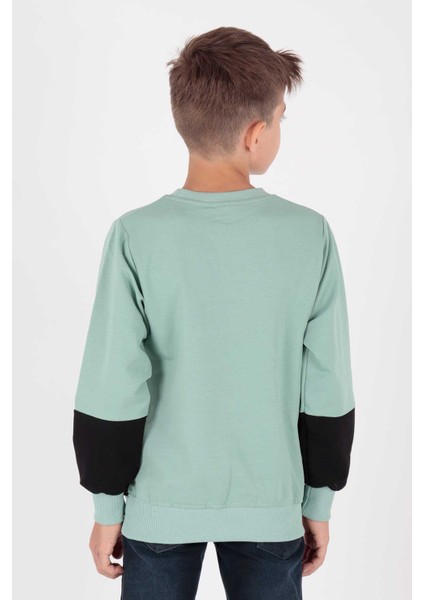 Erkek Çocuk Edition Baskılı Trend Sweatshirt AK15121 modelleri