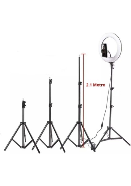 Youtuber LED Işıklı Tripod Selfie Makyaj Işığı Sürekli Ring Light 10 Inç Halka DZ66