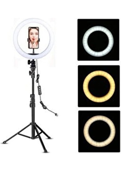 Youtuber LED 10 Inç Ring Light 5500K Youtuber LED Işıklı 2.1 Metre Tripod Selfie Makyaj Işığı