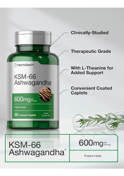 Ksm-66 600 mg 60 Kapsül With L-Theanine - Vegan Non-Gmo Gluten Free Root Extract Usa