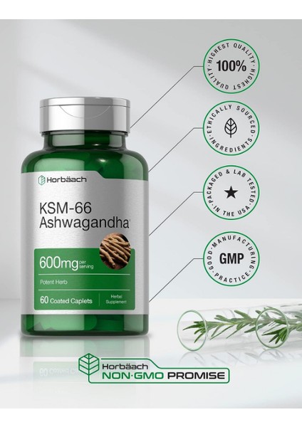 Ksm-66 600 mg 60 Kapsül With L-Theanine - Vegan Non-Gmo Gluten Free Root Extract Usa