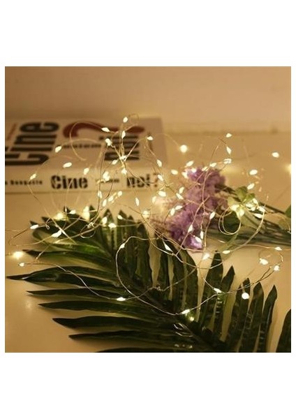 Petinka® Yılbaşı ve Özel Konsept Dekorasyon 5 mt USB Bağlantılı LED Işık