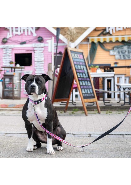 Strawberry Dream Köpek Gezdirme Kayışı