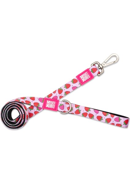 Strawberry Dream Köpek Gezdirme Kayışı fiyatları