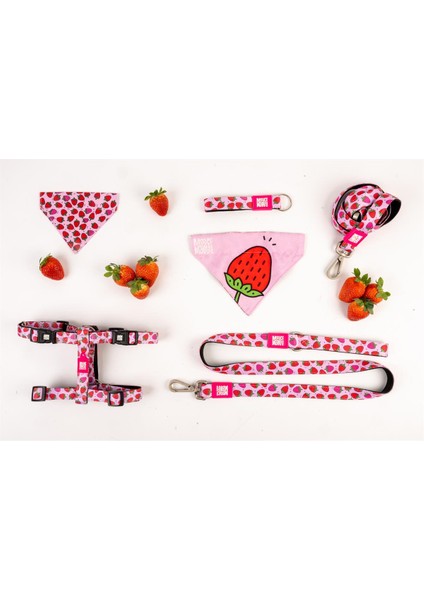 Strawberry Dream Köpek Gezdirme Kayışı fırsatları