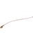 Rp Sma Dişi - Ufl/u.fl/ıpx/ıpex Rf Koaksiyel Adaptör Tertibatı RG178 Pigtail 20CM (Yurt Dışından) 1