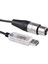 FT232RL USB - RS485 Xlr Adaptörü Dmx DMX512 Arayüz Kablosu Sahne Aydınlatma Kontrol Kablosu (Yurt Dışından) 2
