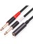 1 Adet 6.35MM 1/4 Inç Stereo Dişi 2 Çift 6.35MM Mono Erkek Y Splitter Kablo Ses Adaptör Kablosu (Yurt Dışından) 3