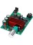 TPA3116D2 Subwoofer Dijital Güç Amplifikatör Kurulu TPA3116 Amplifikatörler 100 W Ses Modülü NE5532 Op Amp 8-25 V (Yurt Dışından) 3