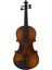 4/4 Tam Boy Akustik Keman Keman Ahşap Kılıflı Yay Rosin Keman (Yurt Dışından) 1