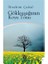 Gökkuşağının Koyu Tonu - İbrahim Çakal 1