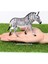 Gerçekçi Yaban Hayatı Hayvan Modeli Figürler Zebra Vahşi Hayvanlar Aile Figürleri Koleksiyon Minyatür Biliş Eğitici Oyuncaklar (Yurt Dışından) 1