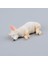 Koteta Corgis Köpek Aksiyon Şekilli Kalıp Oyuncak Brinquedos Peyzaj Dekor Hayvanlar Bebek Çocuk Hediyeler Reçine Manyetik Çıkartmalar Buzdolabı Için (Yurt Dışından) 1