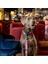 Cherry Bloom Köpek Gezdirme Kayışı 3