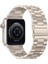 Apple Watch 38 40 41 mm Seri 4 5 6 7 8 9 Se Uyumlu Kordon Yıldızışığı Starlight Metal Çelik 1