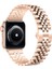 Apple Watch 38/40/41 mm Seri 10/42 mm iwatch 9 8 7 Se 6 5 4 3 2 Paslanmaz Çelik Ayarlanabilir Rolex Metal Kordon 2