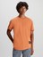 Erkek Yavarlak Yakalı Pamuklu Günlük Kullanım Turuncu T-Shirt J30J323482-Sec 1