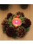 Yılbaşı Noel Mum Merry Christmas 1