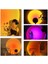 Gece Lambası Projektör Kumandalı Gün Batımı 16 Farklı Görüntü Sunset Lamp Çocuk Odası 2
