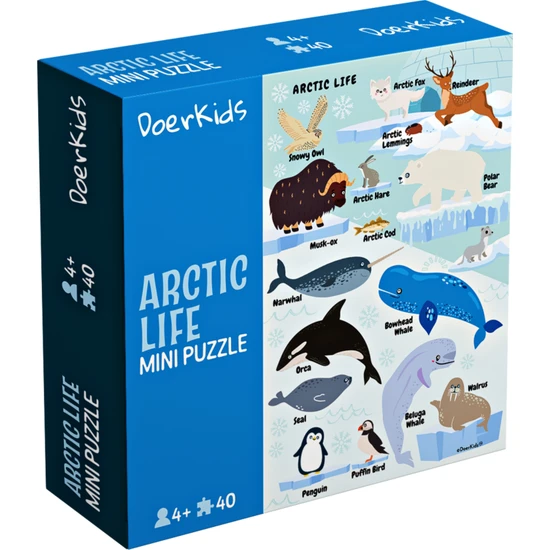 DoerKids Kuzey Kutbu Hayvanları Mini Puzzle | 40 Parça 4+ Yaş