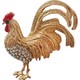  Renk Renkli