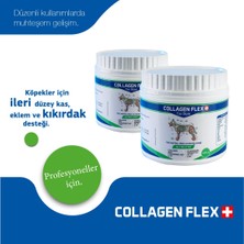 Collagen Flex 400 gr 2 Adet Eklem, Kas ve Kıkırdak Desteği