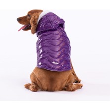 Pawstar Mor Light Wave Anorak Yelek Köpek Yeleği Köpek Kıyafeti Köpek Yağmurluk L