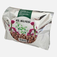 Vilmorin Kil Bilyesi