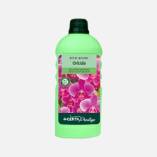 Genta Prestige Orkideler Için Sıvı Besin