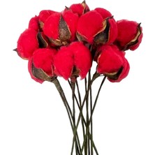 Nettenevime Doğal Pamuk Çiçeği Kırmızı 10 Adet Tekli Dal Kuru Çiçek 30 cm Yapay Çiçek