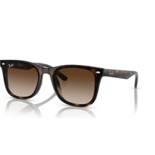 Ray-Ban 0RB4420 710/13 65 Kadın Güneş Gözlüğü