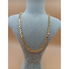 Zd Bellefemme Çelik 316 L Kadın Gold 55 cm Arpa Zincir