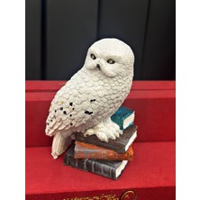 Lemonade Concept Harry Potter Baykuş Hedwig Karakteri