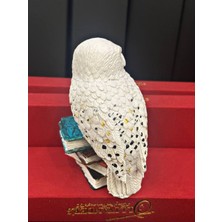 Lemonade Concept Harry Potter Baykuş Hedwig Karakteri