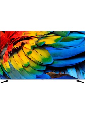 Regal 65R66QA11 65" 165 Ekran Dahili Uydu Alıcılı 4K Ultra HD Smart QLED TV