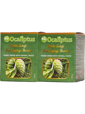 Ocaliptus Damla Sakızlı Çam Kozalağı Macunu 240 gr x 2 Adet