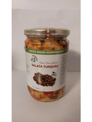 Defne Kadın Kooperatifi Karışık Salata Turşusu 550 gr