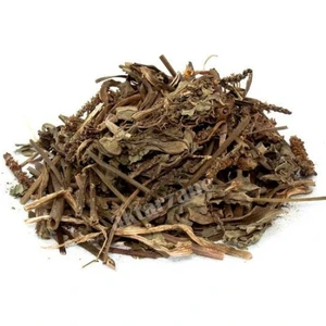 Sinirli Dar Yapraklı Damar Otu ''plantago''