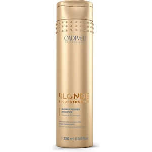 Blonde Reconstructor Renk Koruyucu Şampuan 250 ml